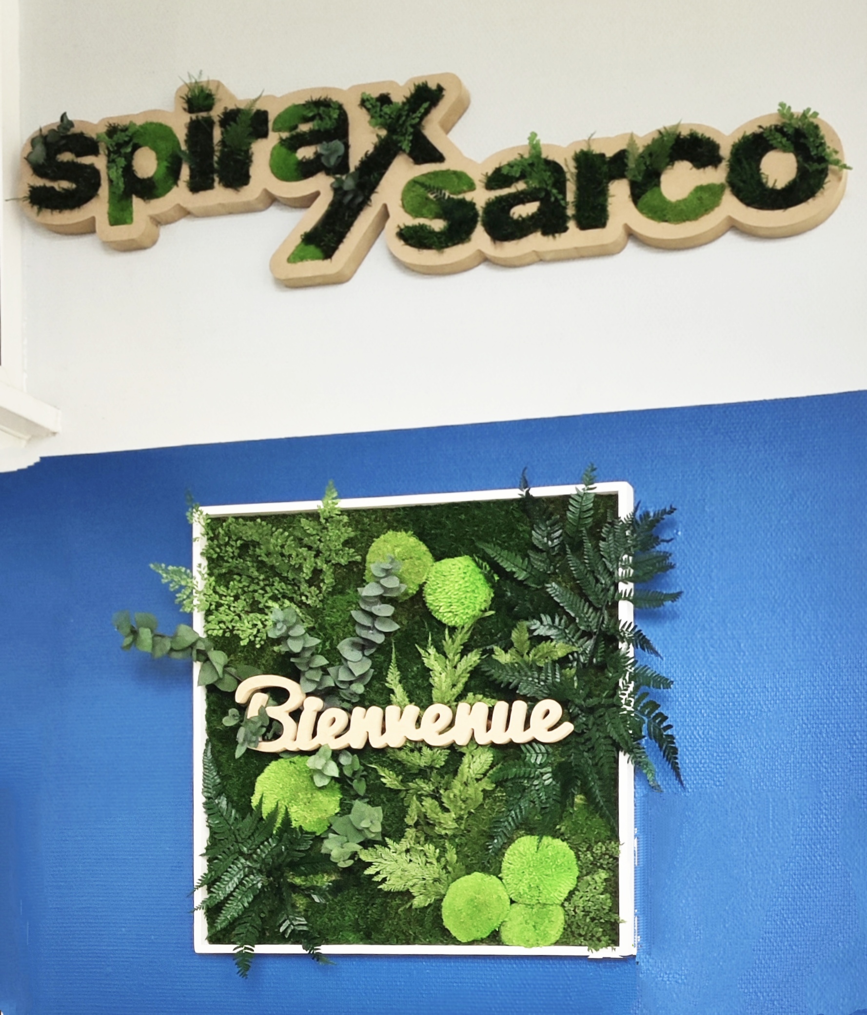Spirax Sarco