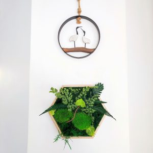 Tableau hexagonal végétaux stabilisés encadrement bois naturel 21 cm de pointe à pointe – création artisanale unique, à poser ou accrocher, livraison France
