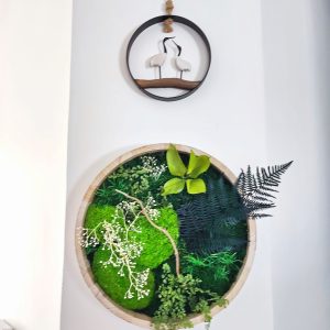 Tableau rond 30 cm contour bois naturel 4 cm de hauteur, entièrement recouvert de végétaux stabilisés variés – création artisanale unique à accrocher, livraison France